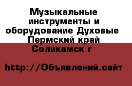 Музыкальные инструменты и оборудование Духовые. Пермский край,Соликамск г.